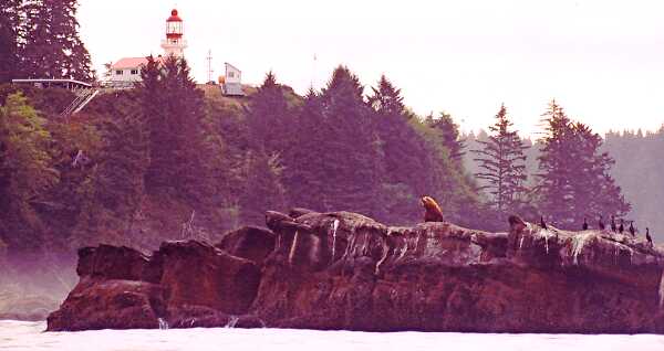 [Carmanah Lighthouse]